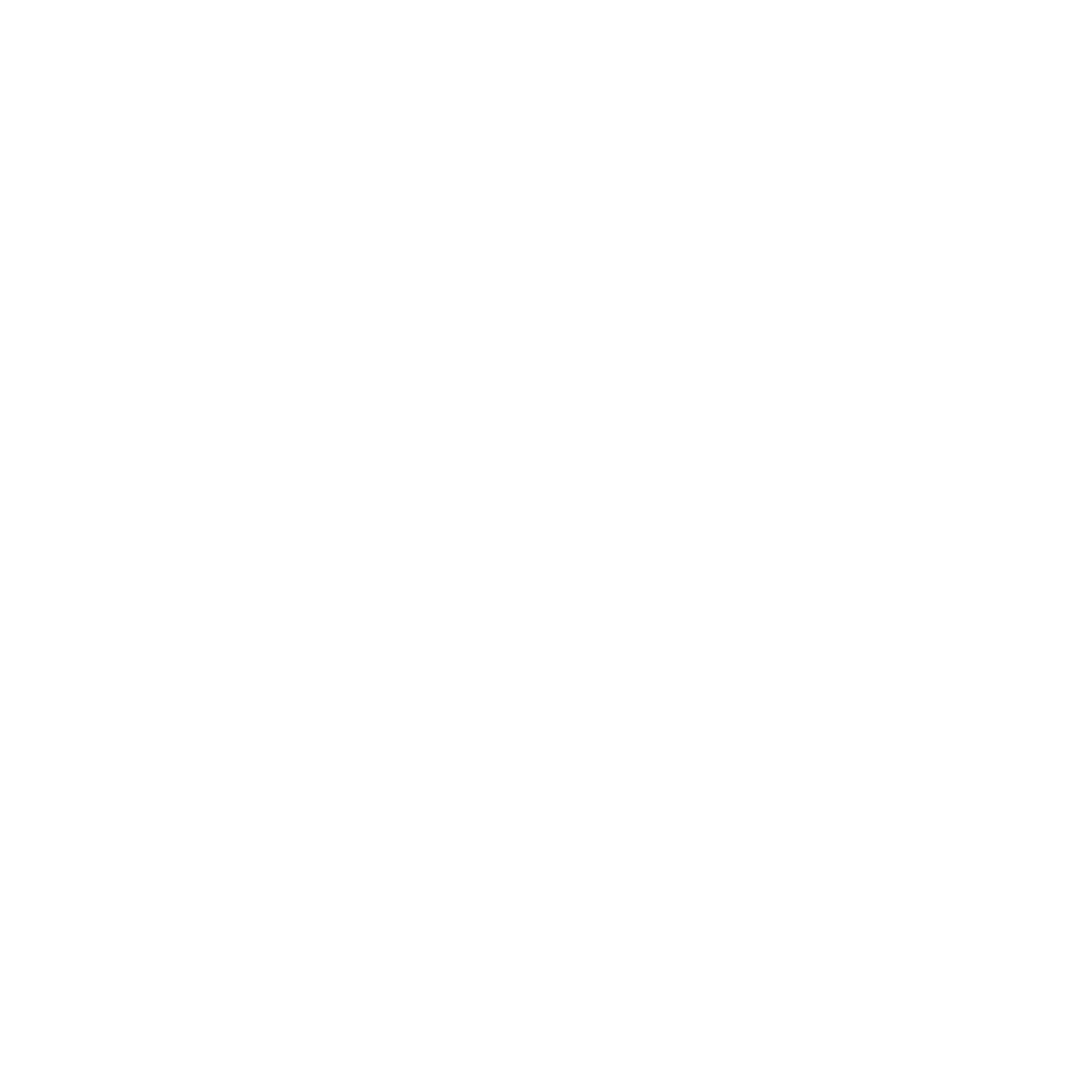 DJ Trizzy